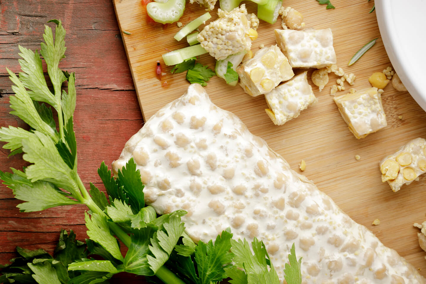 tempeh nutriferments